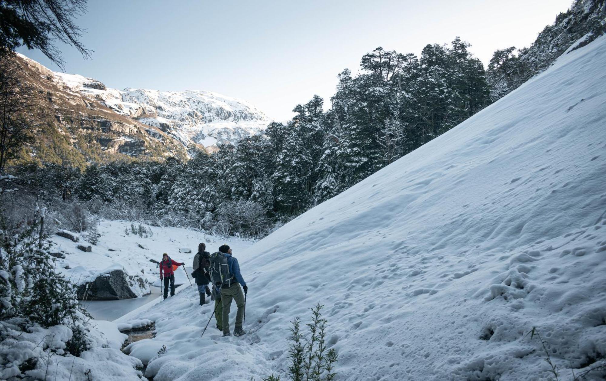 Indomito Hostel San Carlos de Bariloche Exteriér fotografie